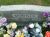 Alden B. and Flonnie Mounce - Poplarville Cemetery, Pulaski Co., KY